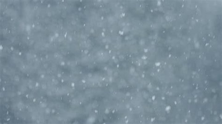  Heavy snow falling on sheep at Dumgoyne, Stirlingshire