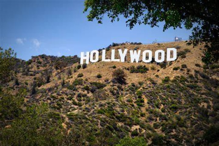 Hollywood's most distinctive noses
