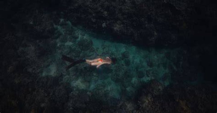 How Much Does Freediving Cost? DesertDivers