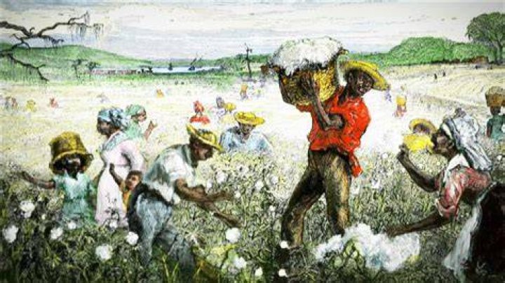 How Slavery Became the Economic Engine of the South History in the