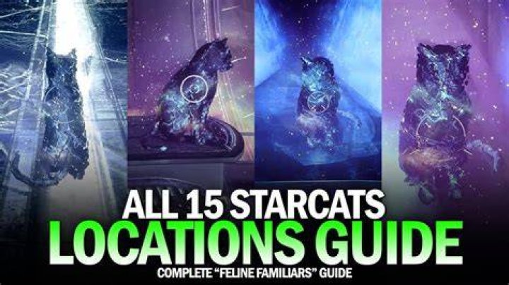 How To Complete Familiar Felines in Destiny 2