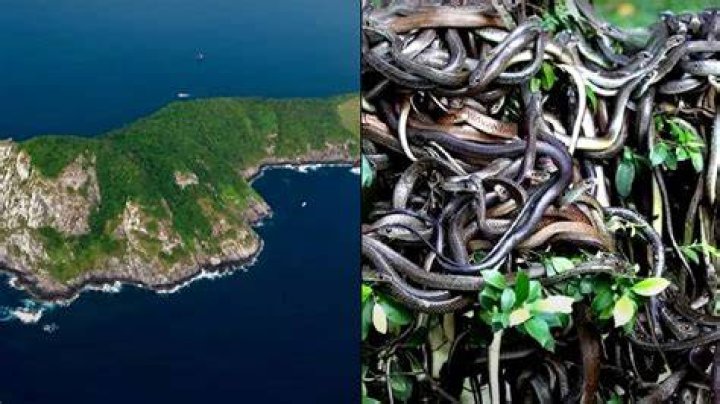If Snake Island really does hide the Treasure of the Trinity then it was well chosen