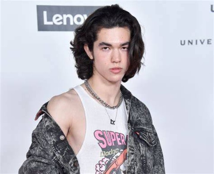 Is Conan Gray Gay? Sexual Orientation Speculations and Clues
