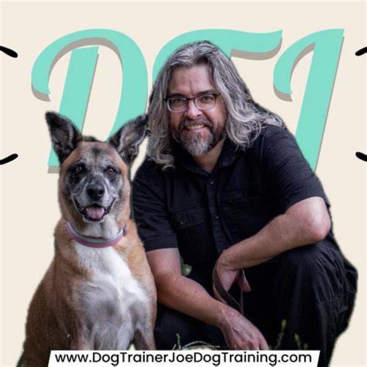 Joe, a dog trainer, said: 'She absolutely loves it &mdash; she&rsquo;s such a talented little duck'