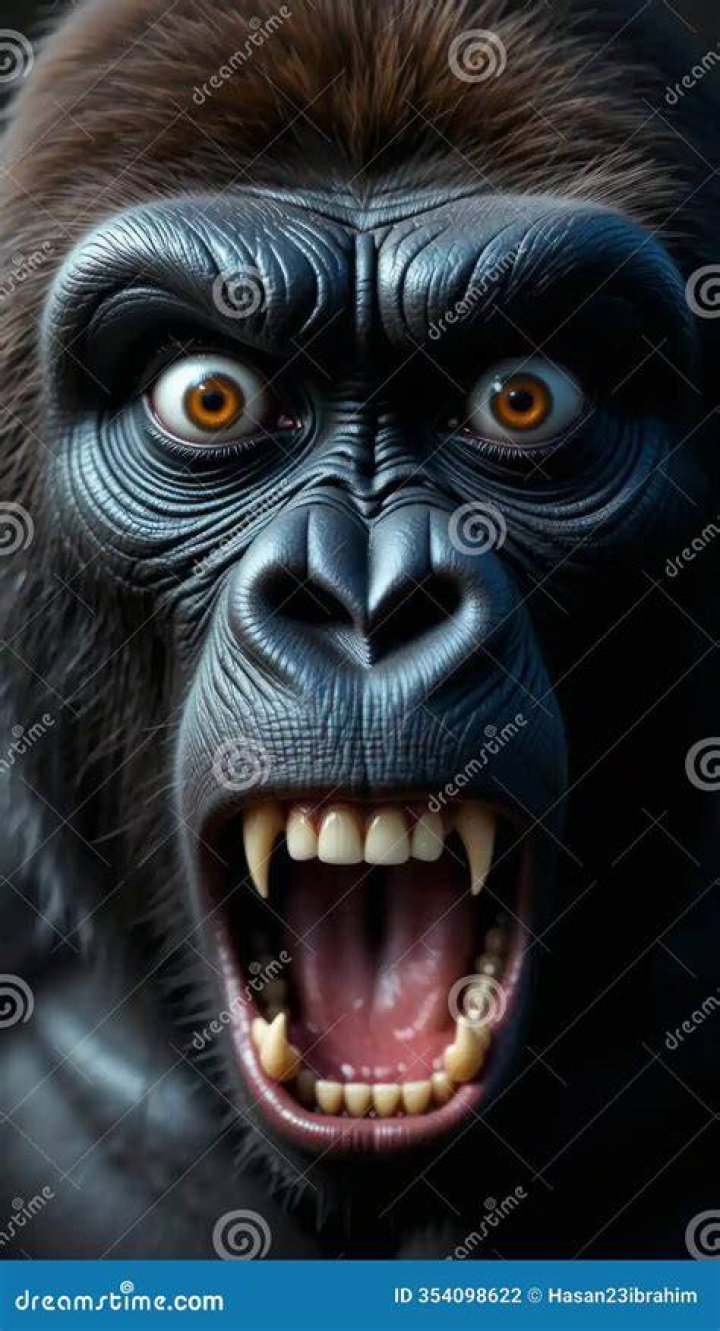 King ape teeth bared
