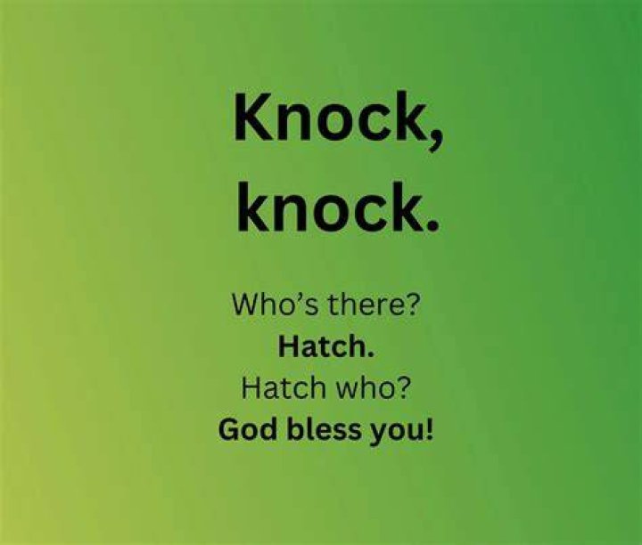 Knock Knock Jokes That Are Funny And Dumb