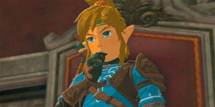 Link staring at hand