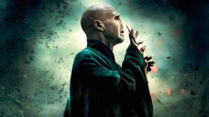 Lord Voldemort's Wand