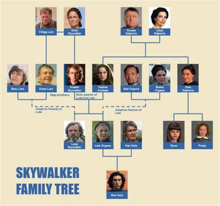 Luke Skywalker Wiki, Biography, Wife, Parents, Cause Of Death & More 4 Luke Skywalker Parents, Siblings