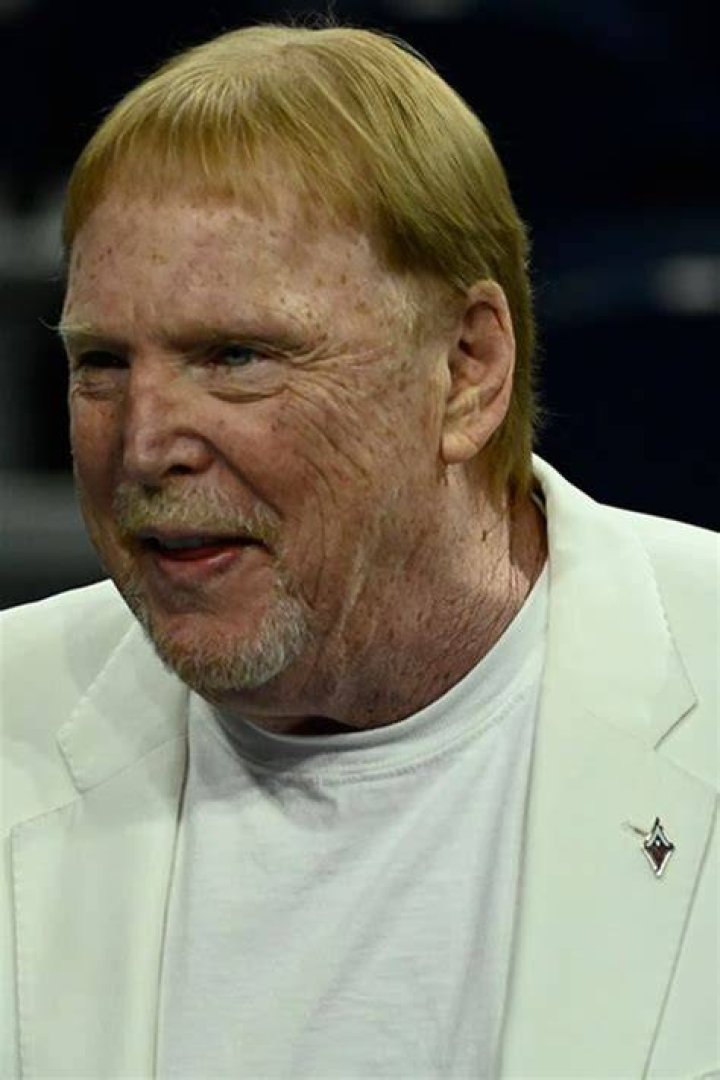 Mark Davis The American Business Man