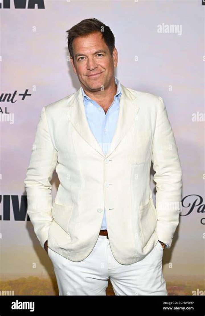 Michael Weatherly On Red Carpet