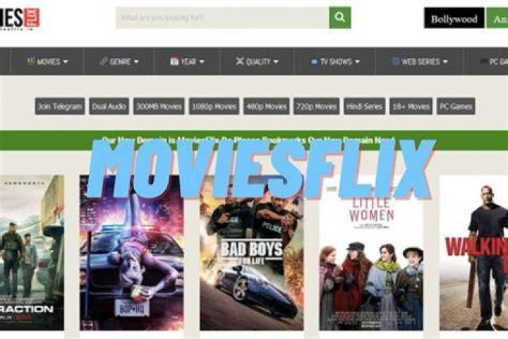 MoviesFlix Latest Website 2021, Download Movies Flix Online FreeZonal