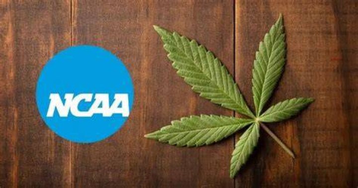 NCAA On Marijuana 