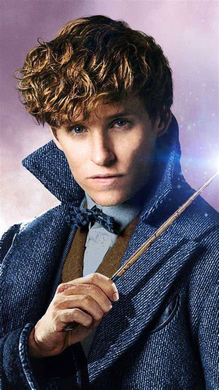 Newt Scamander's Wand