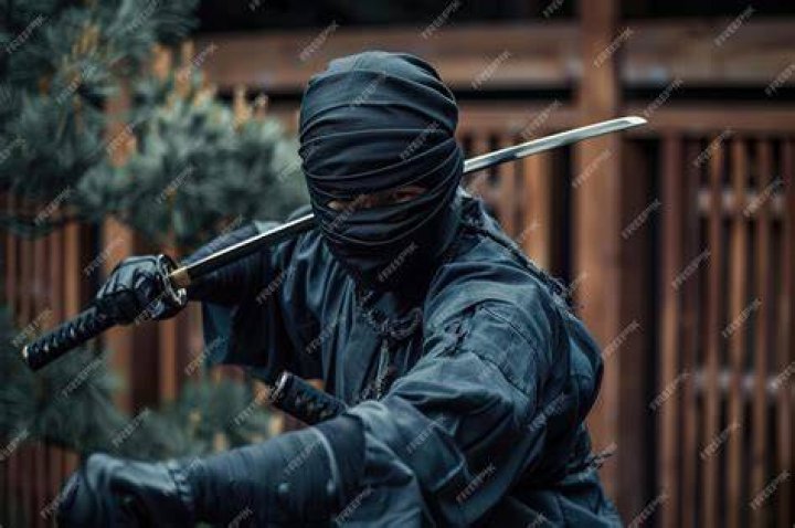 Ninja 