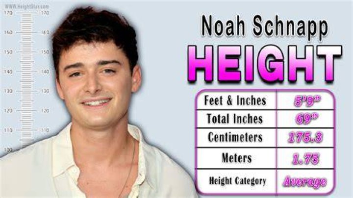 Noah Schnapp Height 2021