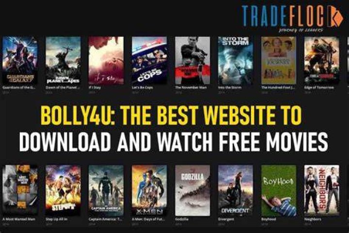 [official] Bolly4u Latest Bollywood,Hollywood Movie Download Gkgrips