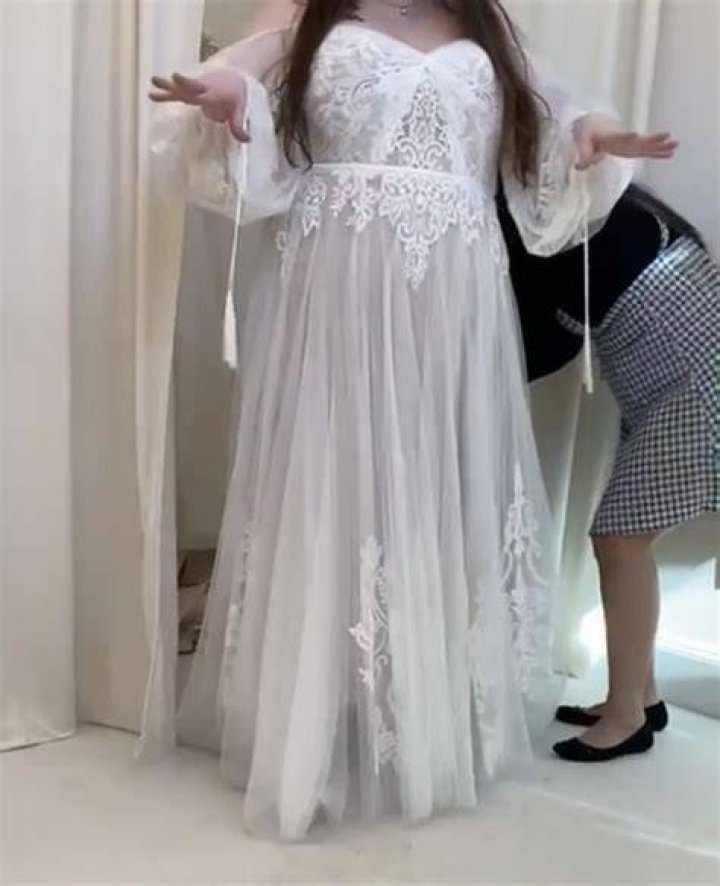 One dress wouldn't even go up the plus-size model's arms