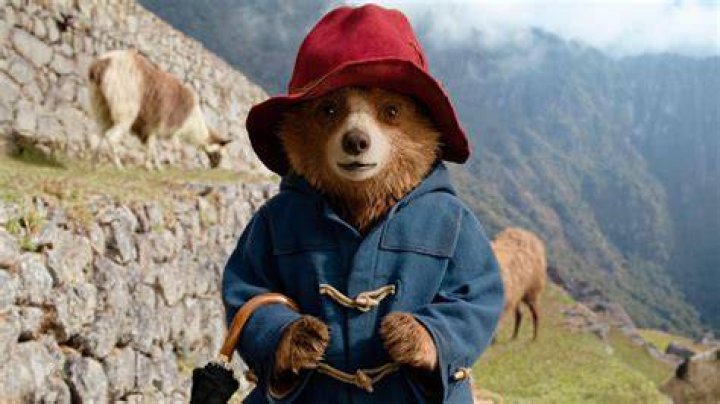 Paddington 3 Sees the Bear Going to Peru