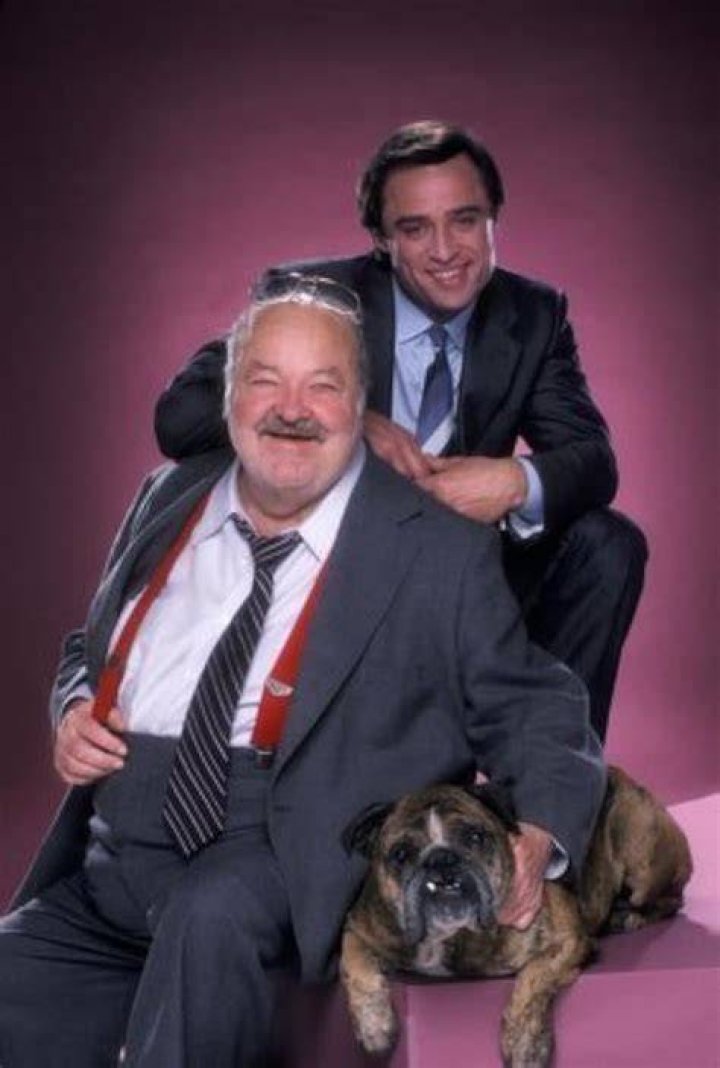 Penny Picture, Fat Man, Tv Characters, Handsome Actors, Hunk, Males