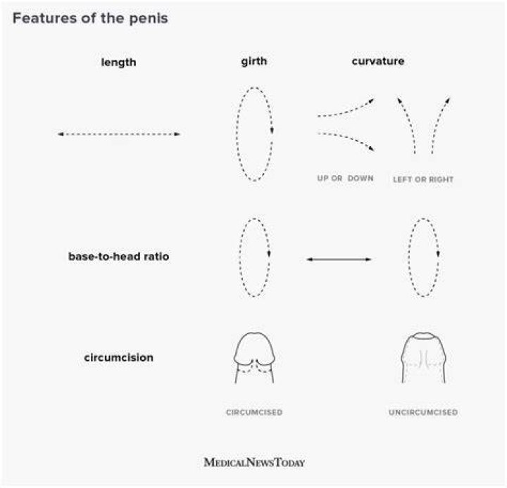  Pictures of erect penises and the odd vagina are not unusual for the swinging website, where users share their weird and wonderful fantasies