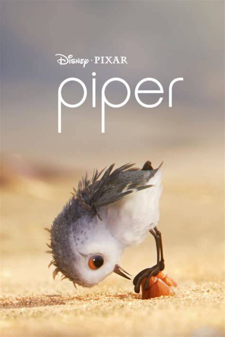 Piper, an animated short, plays before Finding Dory. Definitely worth a watch!