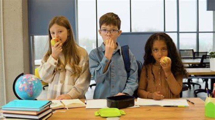 Plastics eating lunch