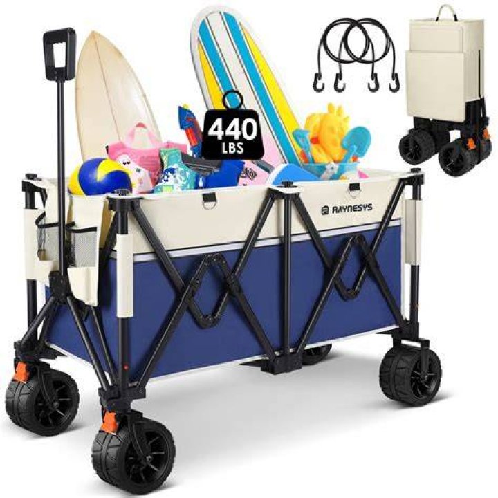 Raynesys Beach Wagon