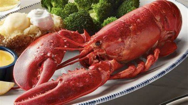 Red Lobster is hosting the first-ever Endless Lobster event for "lob-sessed" guests at its Times Square location on March 28, 2023 (Red Lobster)