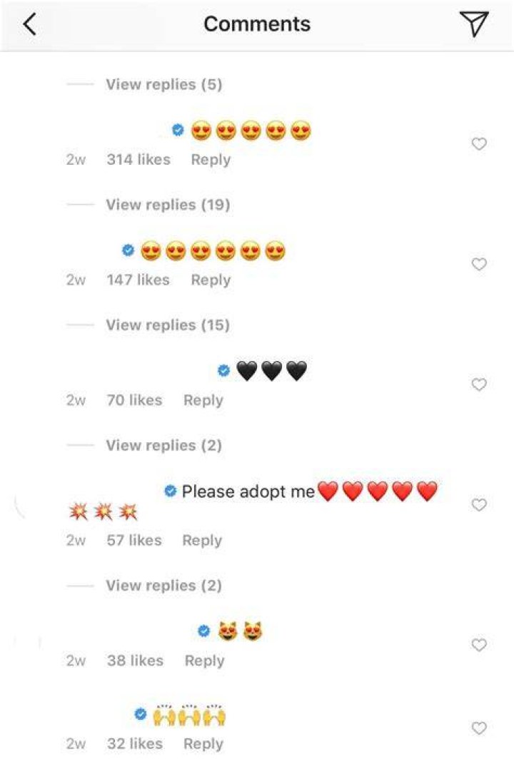 screenshot of instagram comments from britni thornton post announcing she's pregnant 2023
