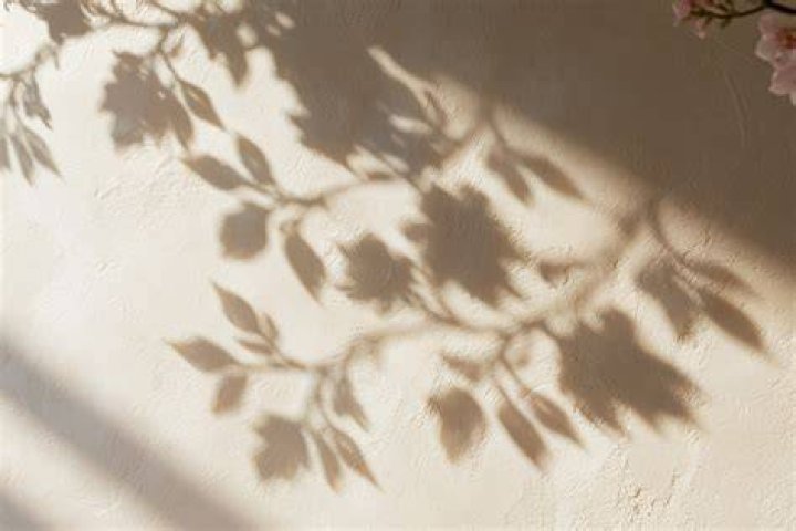 Shadows on the Wall An Online Dark Shadows Fanzine Denise Nickerson