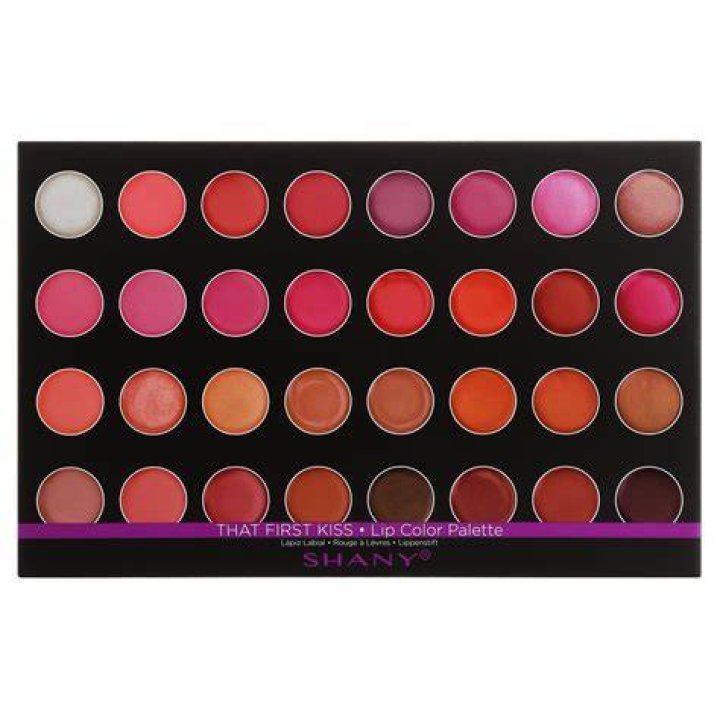 SHANY Masterpiece 32 Color Gloss/Sheer Lip Palette