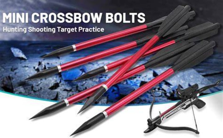 shot bolt crossbow