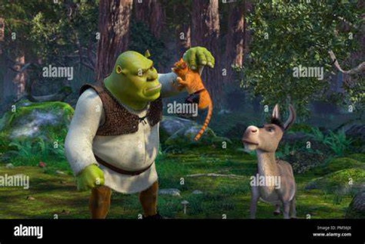 Shrek and Donkey meet Puss for the first time in Shrek 2