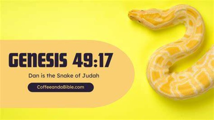  Snake-phobic Lisa Pell, 49, discovered the 5ft long reptile after returning from work