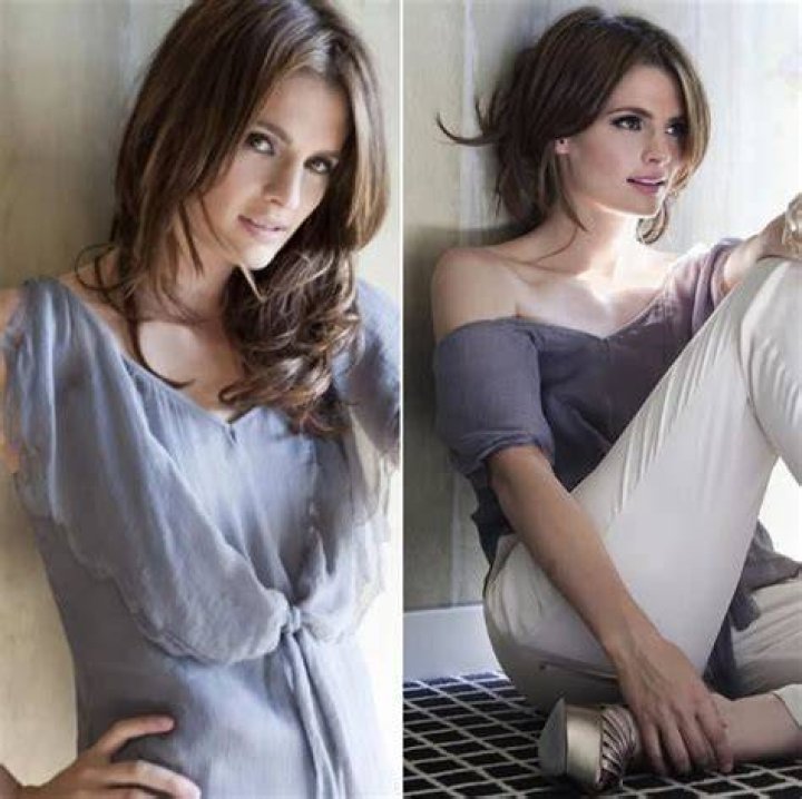Stana Katic as FBI Special Agent Emily Byrne