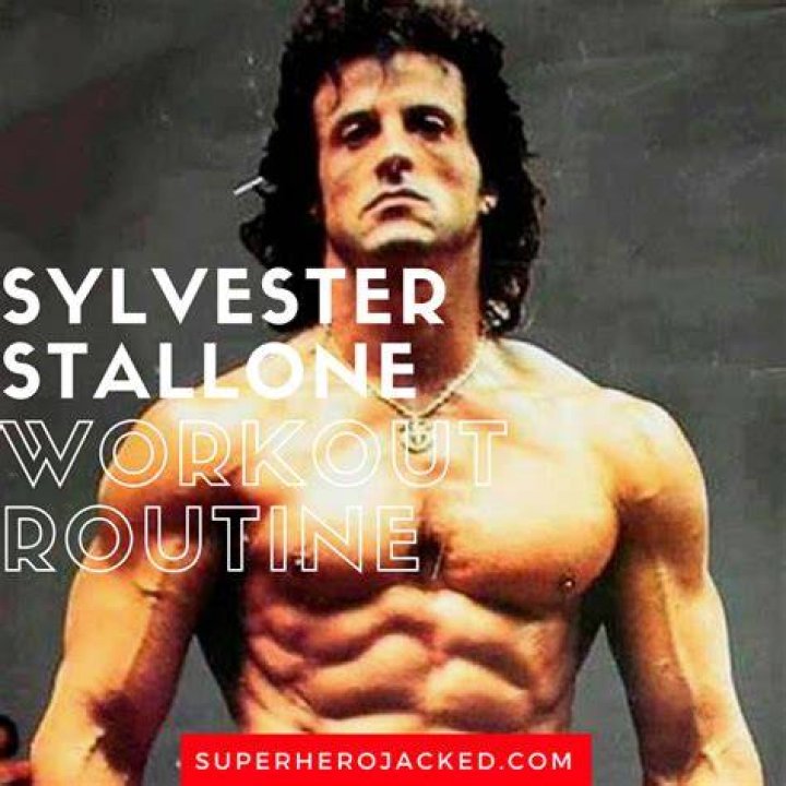 Sylvester Stallone Workout Everything You Need To Know