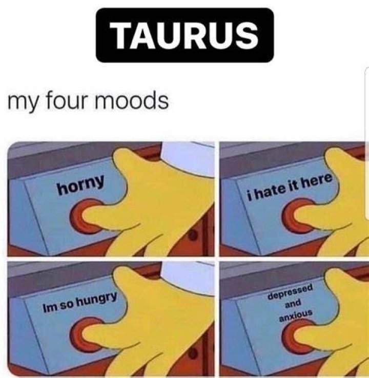 Taurus Memes