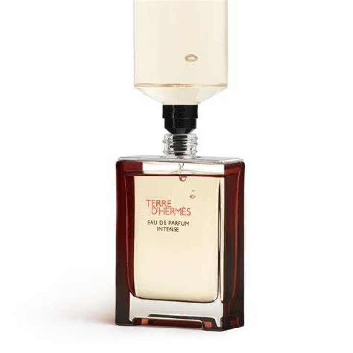  Terre D'Herm&egrave;s Parfum