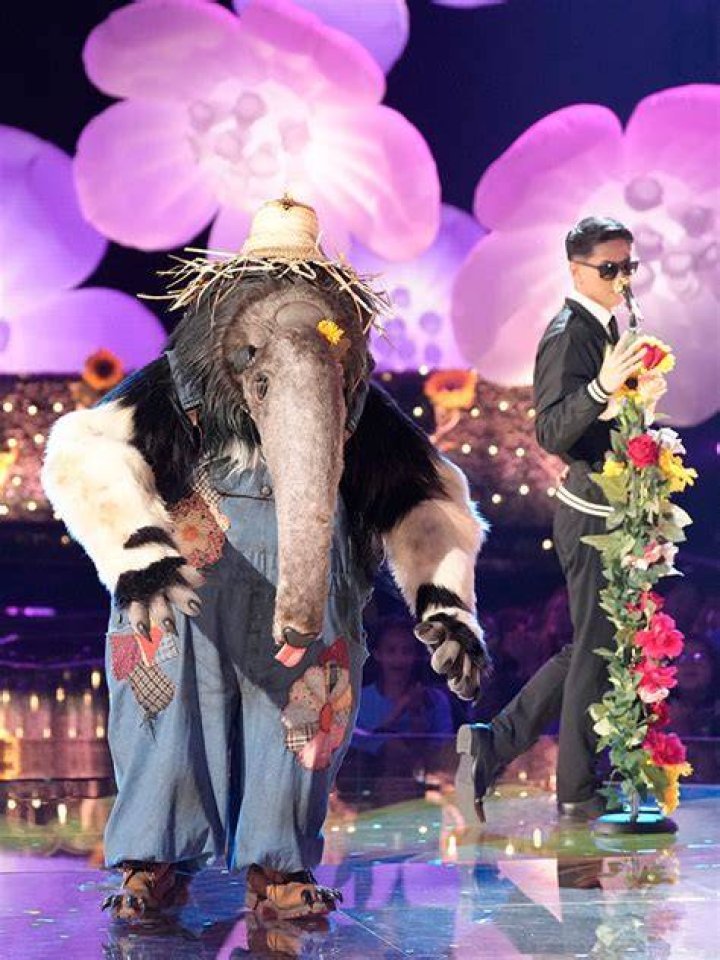 the anteater during the masked singer season 10
