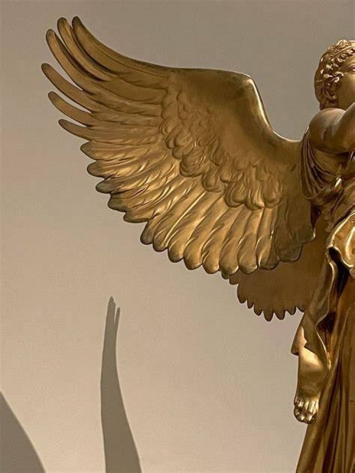 The golden angel of sport, Don Schollander.