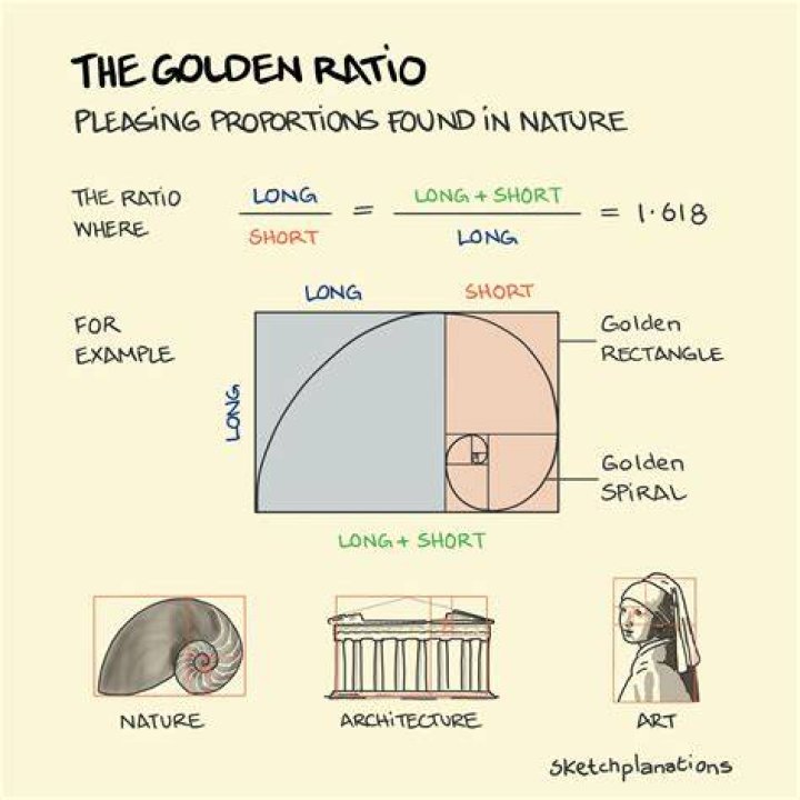 The Golden Ratio reveals which celebs have the best boobs in the world