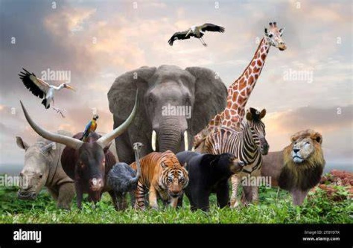 The group had a wild evening