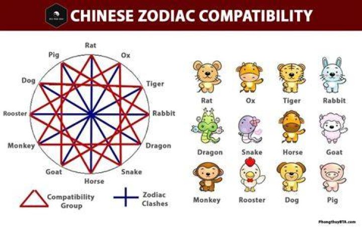 The Ox is most compatible with the Rat, Snake and Rooster