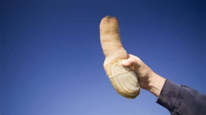 The phallic find can be found within the tropical Trinity Islands