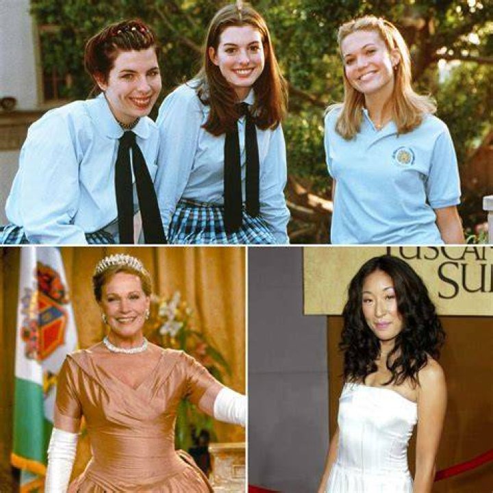 The Princess Diaries Cast Where Are the Stars Now? Daily Dose O
