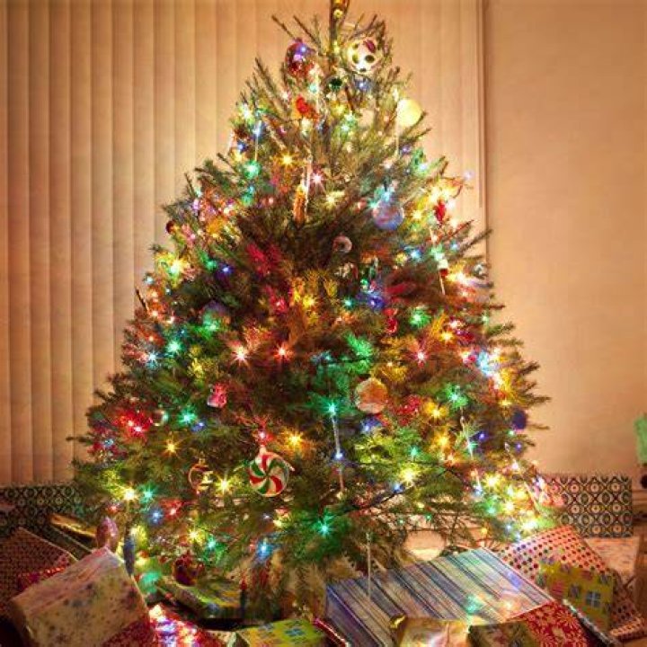  These Christmas tree lights will add some festive sparkle to your home