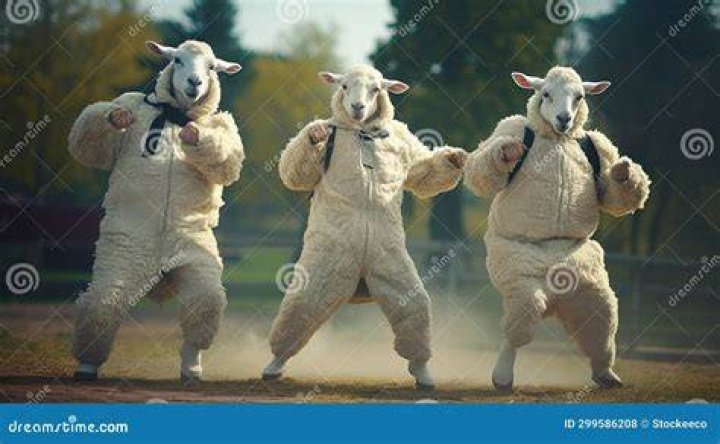 Three Men dance with Sheep Viral Video goes viral on Social Media Shepherd Viral Video ಕರ ಜತ ಕರಗಹಯ ಸಖತ ಡಯನಸ ವಡಯ ನಡದರ ದಲ ಖಷ ಆಗದ ಗಯರಟ Shepherd Viral Video