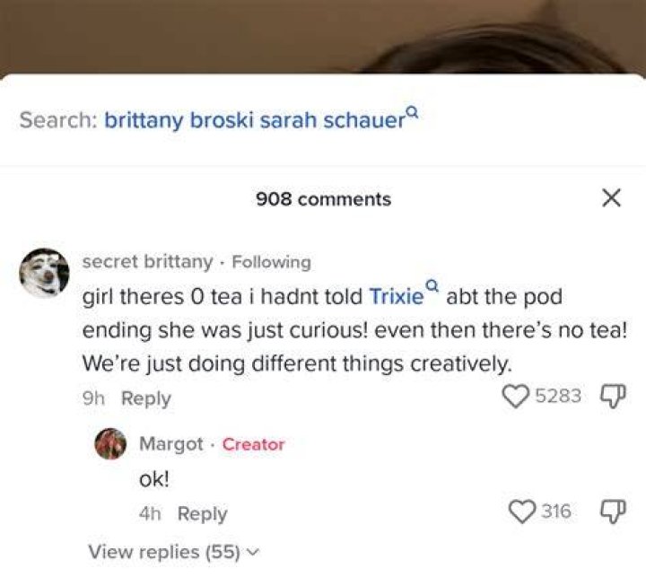 TikTok user Brittany showed her followers how to make a low-calorie fried chicken dish to rival KFC