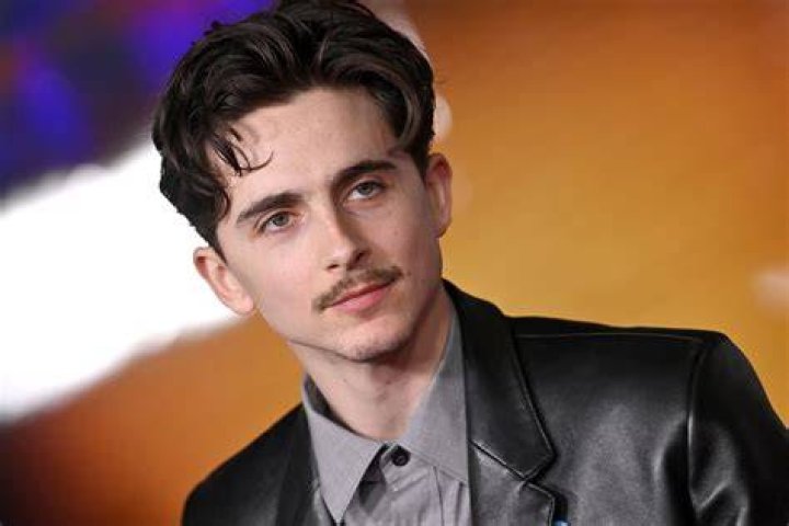 Timoth&eacute;e Chalamet Debuts Mustache at the 2020 National Board of Review